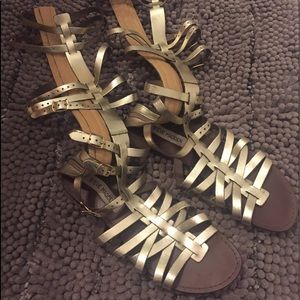 Steve Madden Sparta gladiator sandal